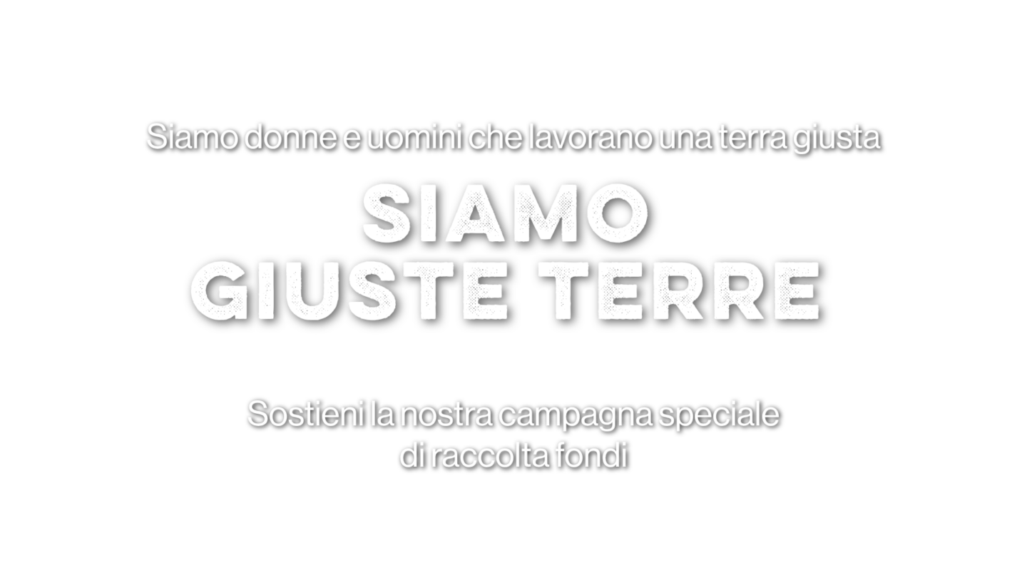 169 – CAMPAGNA STRAORDINARIA (8)