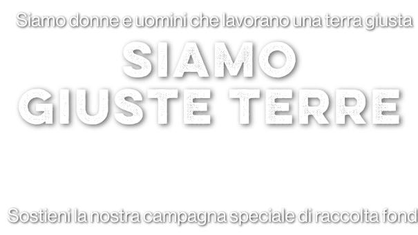 header-campagna